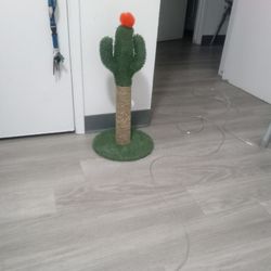 Cactus scratch post