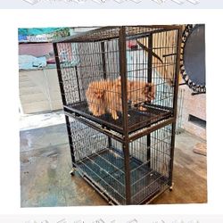 Pet Cages in Multiple Forms to Match All Pet Types same bad