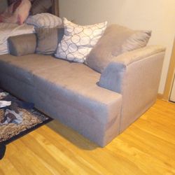 Free Gray Pillow Love Seat