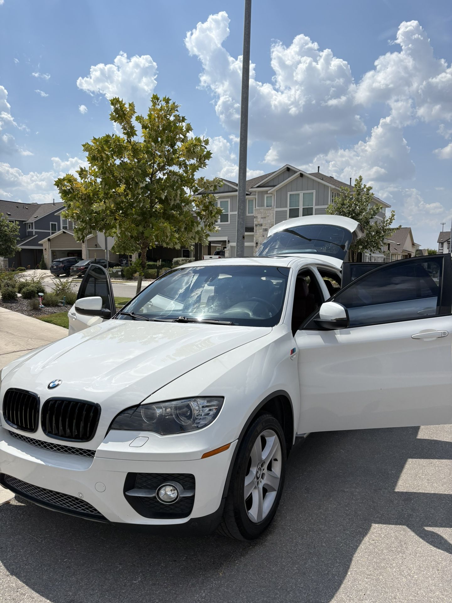 2010 BMW X6