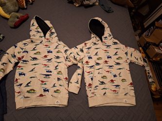 Dinosaur Pullover Hoodies