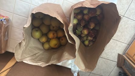 Figs and apple pears