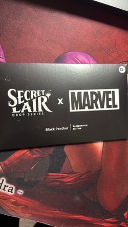 BLACK PANTHER ~ Magic: The Gathering - Secret Lair x Marvel's Black Panther - Rainbow Foil