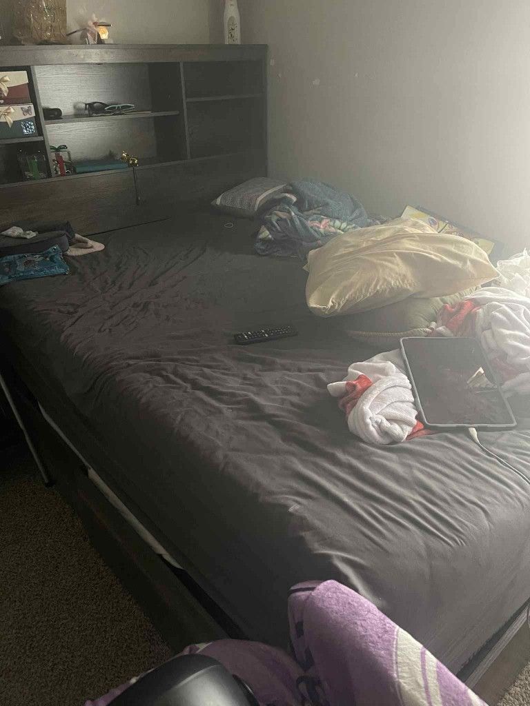 Bed