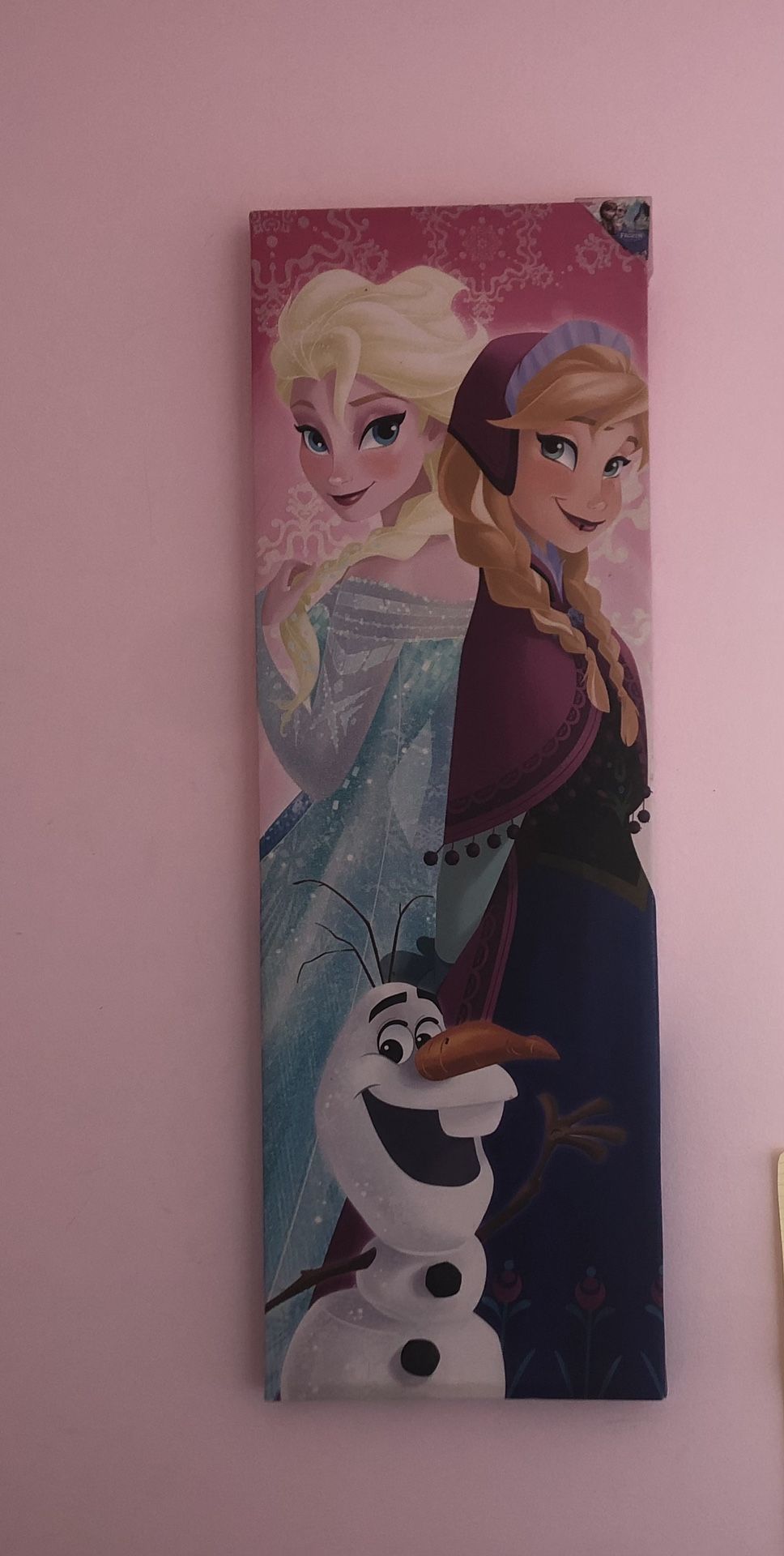 Frozen Decor
