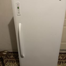 GE Stand Up Freezer 