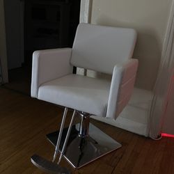 Salon Chair