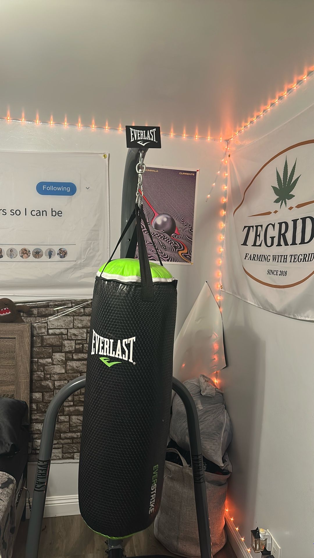 Everlast 70lb Punching Bag With Stand