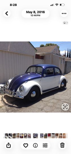 1964 type1 vw bug