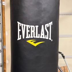Everlast Heavybag