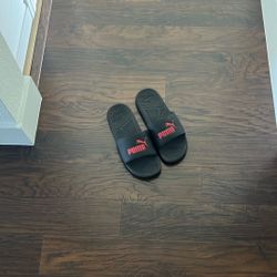 Puma Slides 