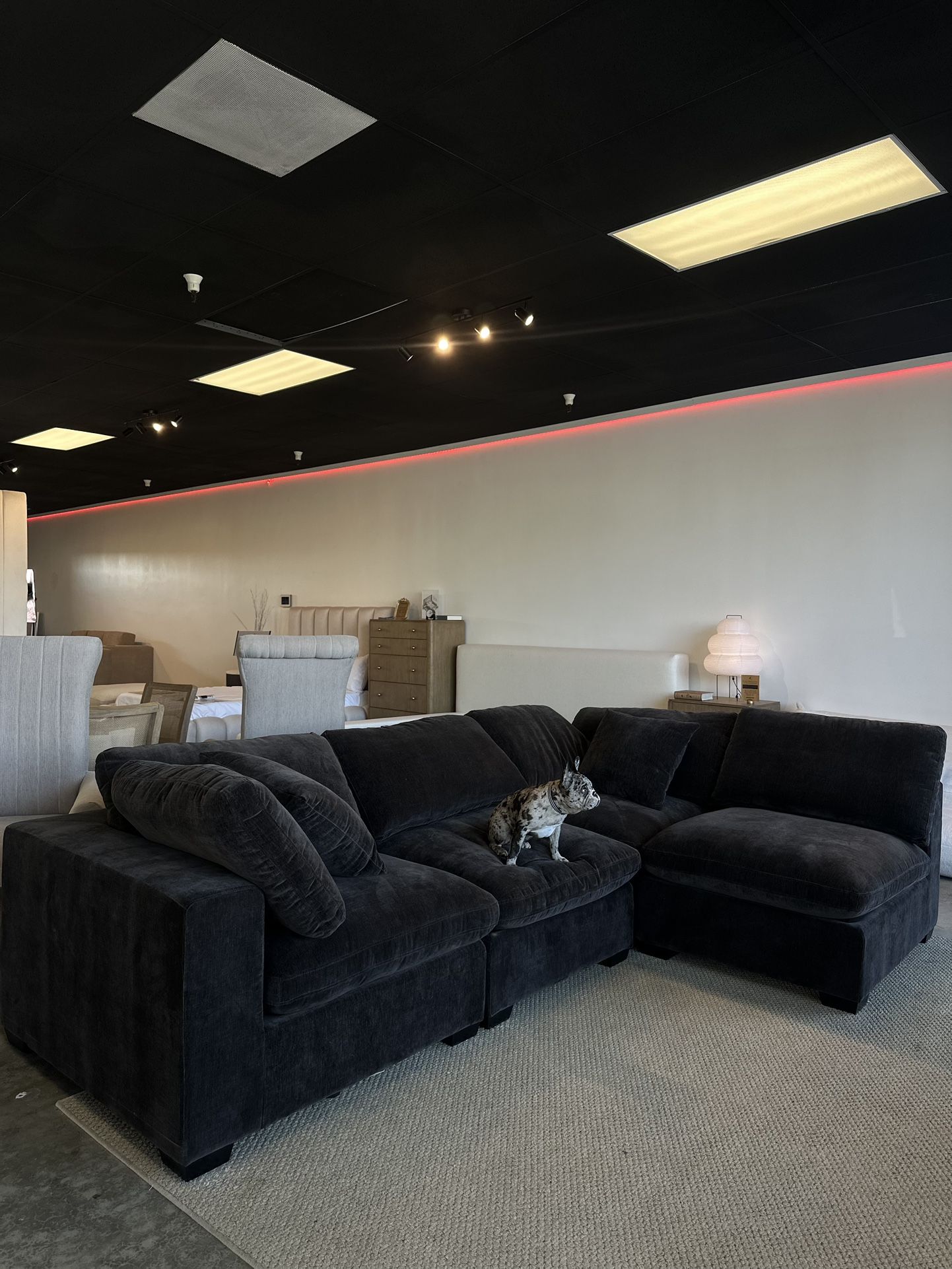 NEW Modular Cloud Sofa Sectional With Ottoman Chaise in Chocolate Brown 