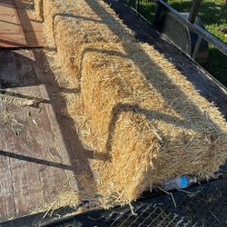 Free Hay!!! Pick Up 