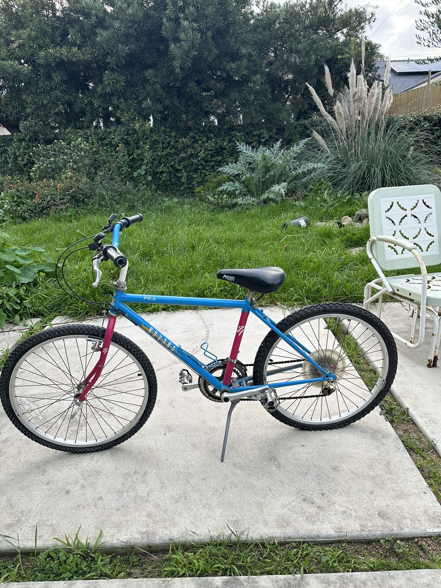 Pink and Blue Vintage Rad Kids Bike Novara Pika