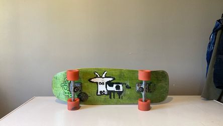 Skateboard/ cruiser board