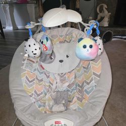 Fisher-Price Sweet Snugapuppy Deluxe Bouncer