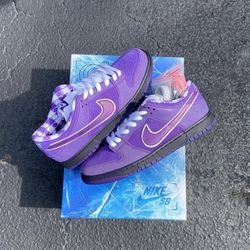 Concepts x Nike Dunk Low SB Purple Lobster Special Box