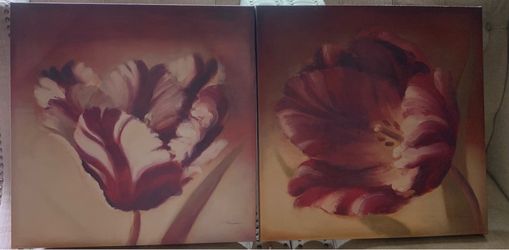 Pair of Canvas Art of Flowers by Paulo Romero 23.5 x 23.5 Inches