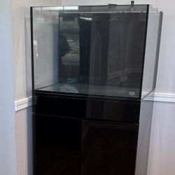 JBJ rear Filtration Fish Tank