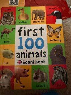 first 100 box set board books