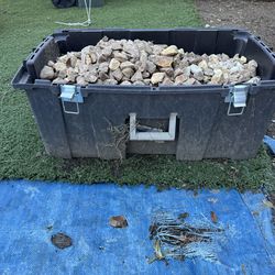 Rocks plus container