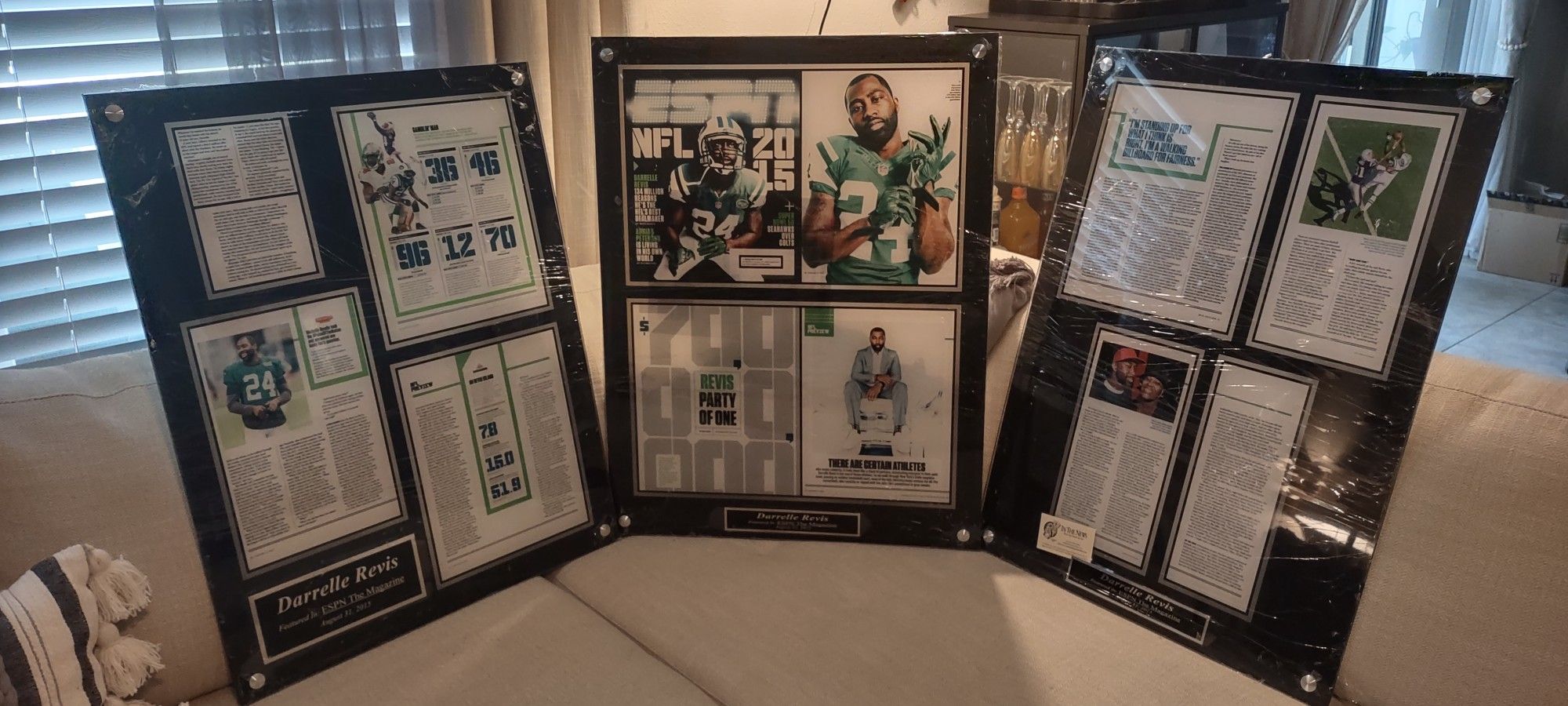 Darrelle Revis New York Jets wall Plaques
