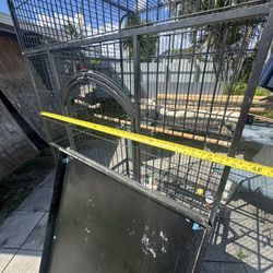 Bird Cage 