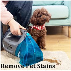 Hausmeister Spot Cleaner