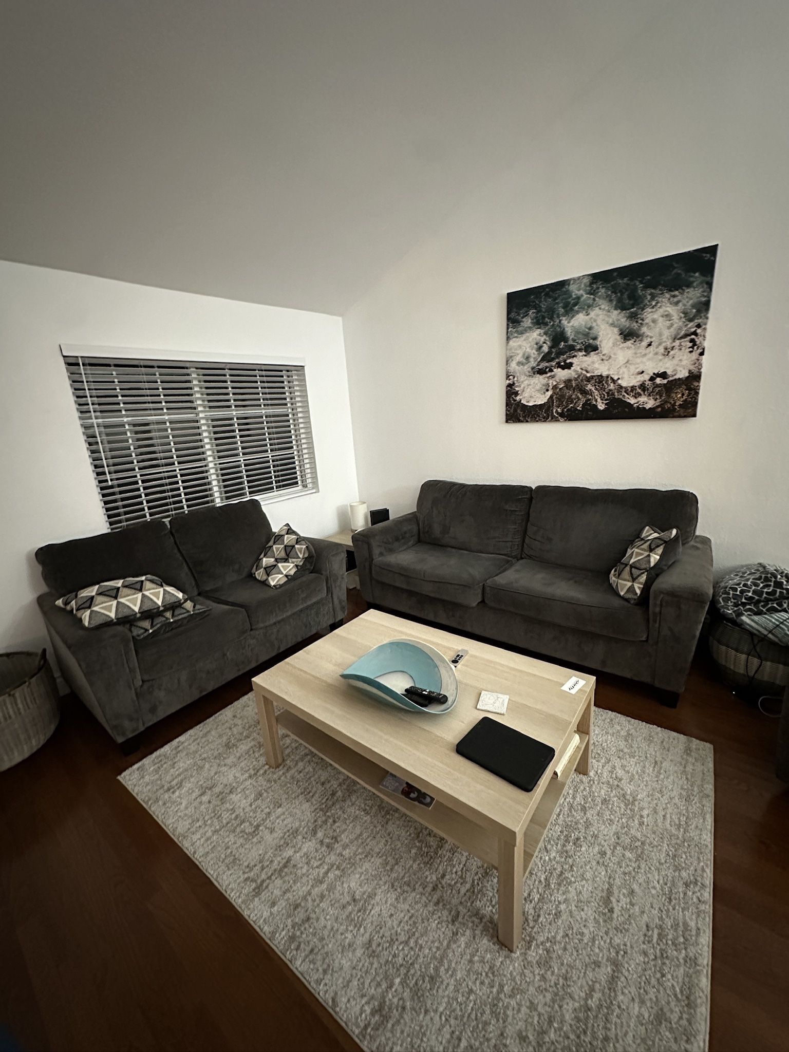 Living Room Couch Set - MUST GO