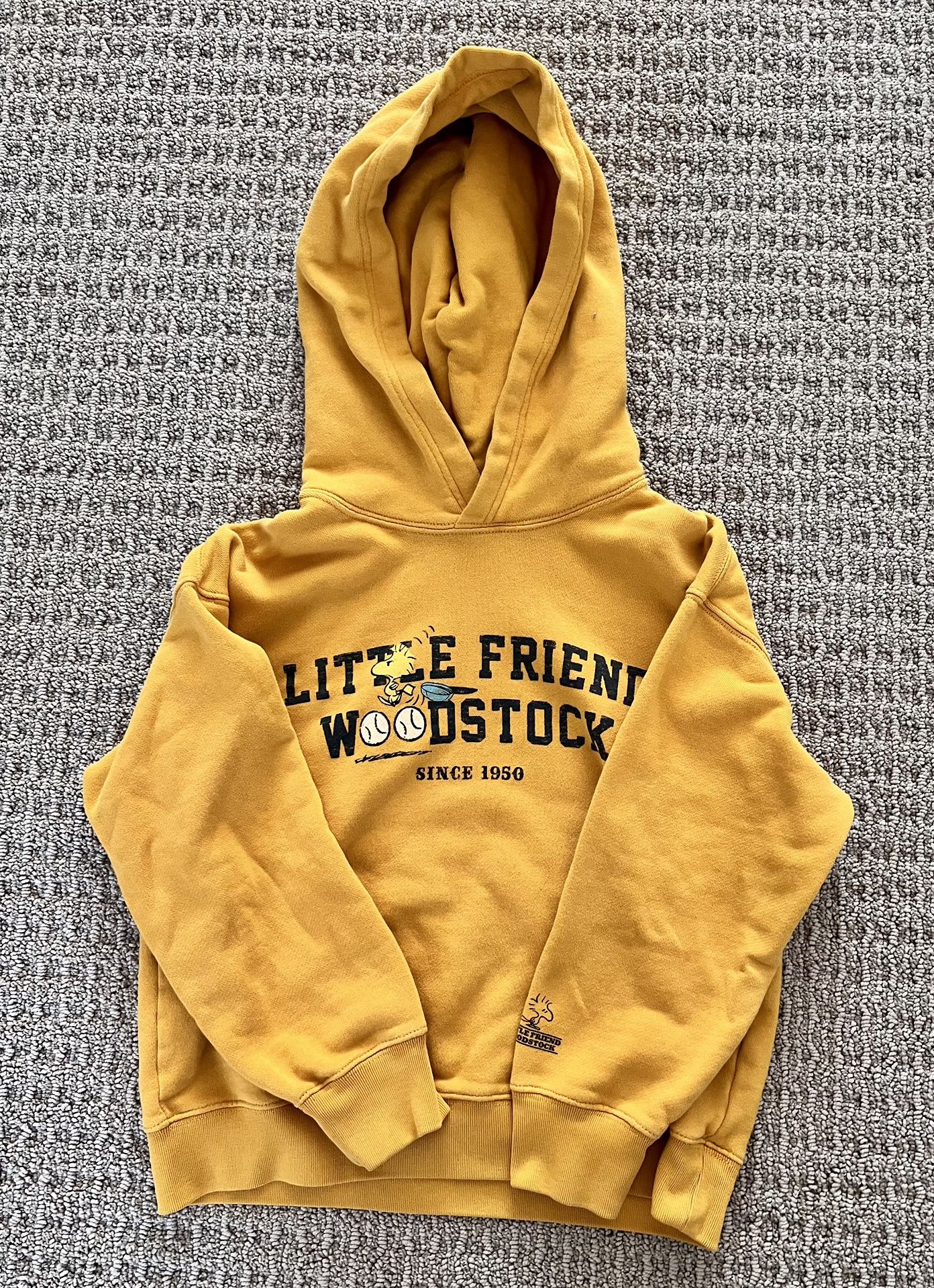 Boys Hoodie Sweater Shorts And Pants