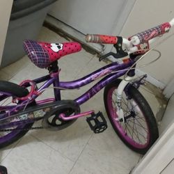 Bike Lil Girl Like New 