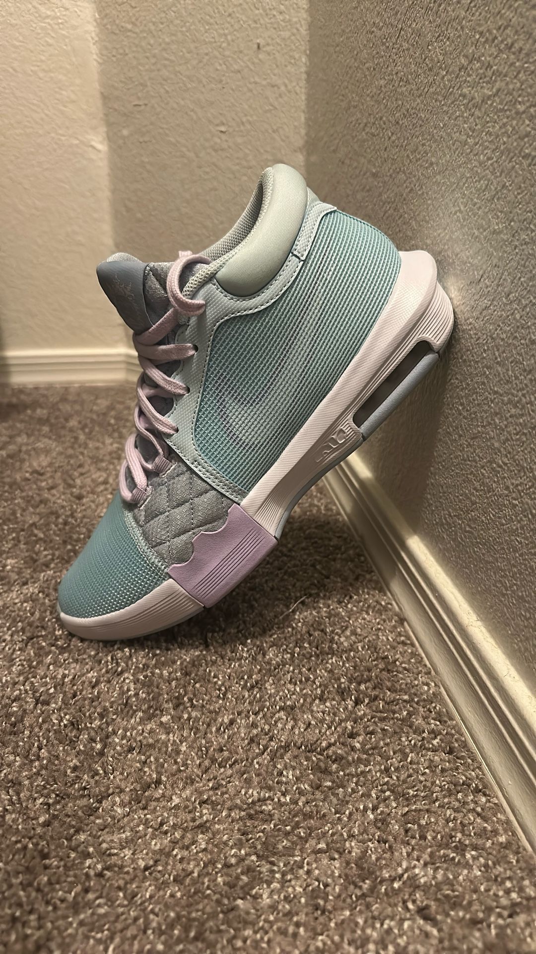Nike LeBron Shoes 