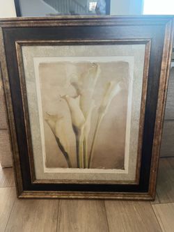 Large Framed Calla Lily Botanical Wall Art