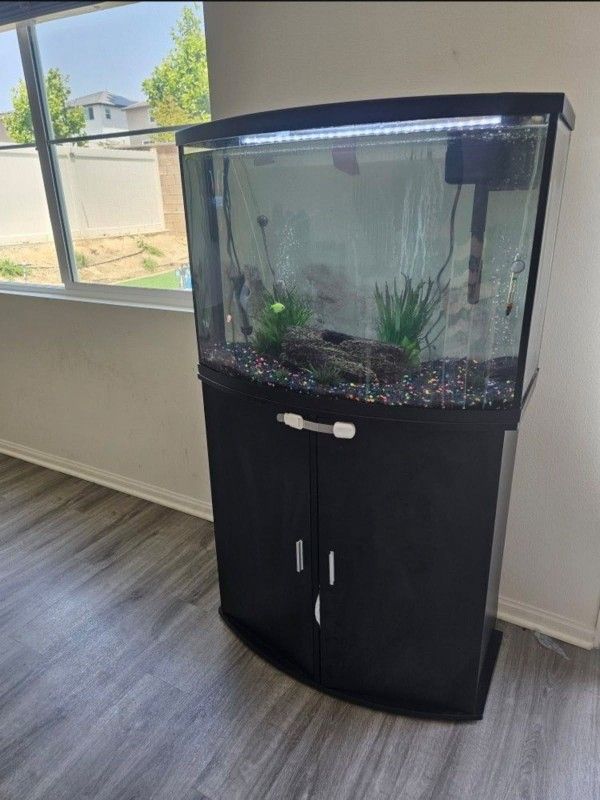 36 Gallon Fish Tank
