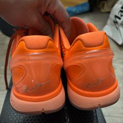 Kobe 6 total orange 