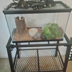 Terrarium Style Tank And Stand