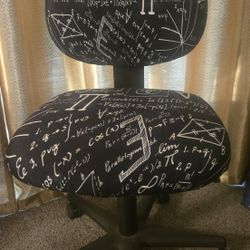 Computer / Desk Chair With Cover 