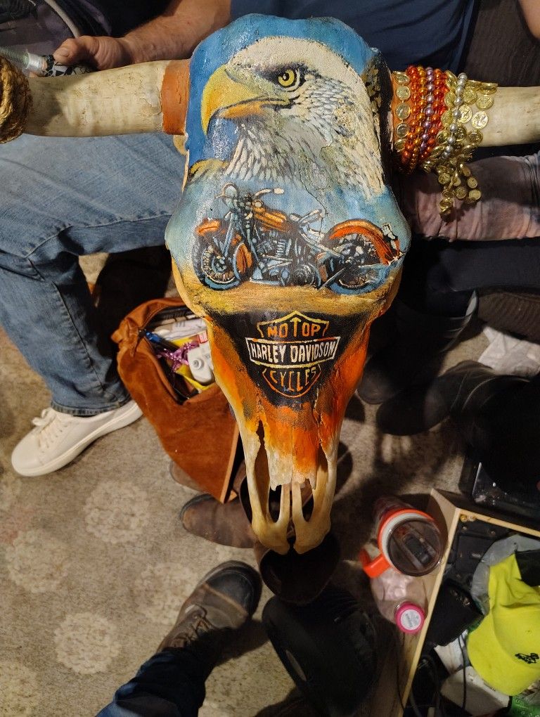 Longhorn Bull Head