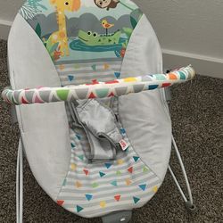 Baby Bouncer 