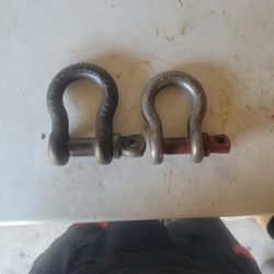 D Ring Shackles