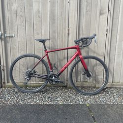 Trek Domane AL 2 (56 cm) – 2024