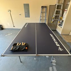 Ping Pong Table