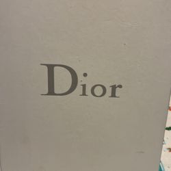 Dior Women Shoes 