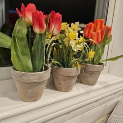 Spring-Sumer Blooms , Tulips 🌷 Artificial Plants