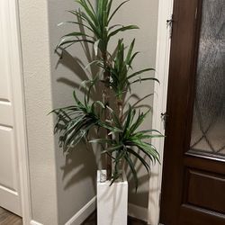 Faux 6’plant