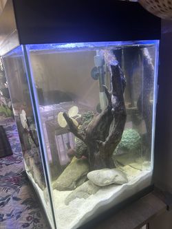 Fish Tank Complete Setup
