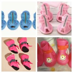 Dog Shoes