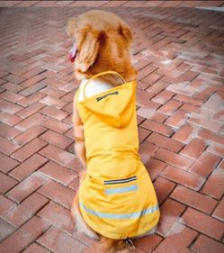 EUC, Outdoor, Waterproof, Reflective, Yellow, Coat, For Medium Large Dog. Like New!