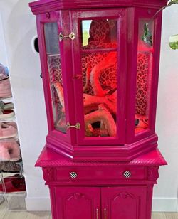 Custom reptile enclosure
