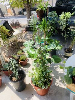 Yard sale plans different prices different sizes